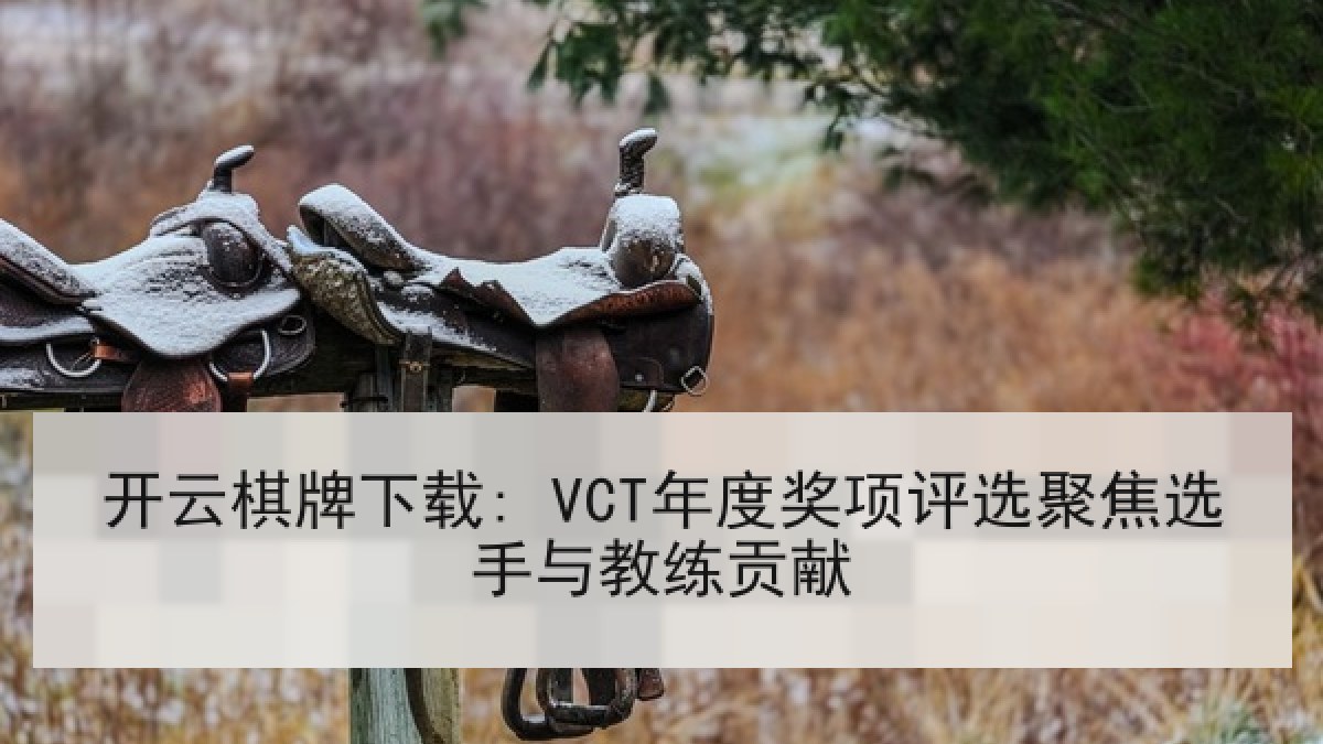 开云棋牌下载: VCT年度奖项评选聚焦选手与教练贡献