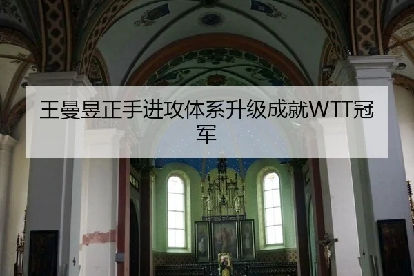 wang-man-yu-zheng-shou-jin-gong-ti-xi-sheng-ji-cheng-jiu-guan-jun-3-498.jpg