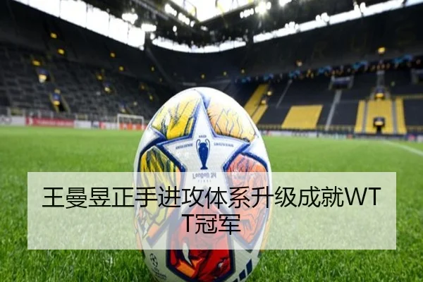 王曼昱正手进攻体系升级成就WTT冠军