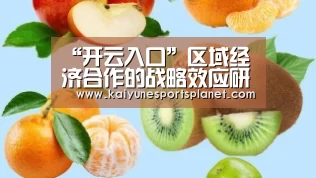 “开云入口”区域经济合作的战略效应研究