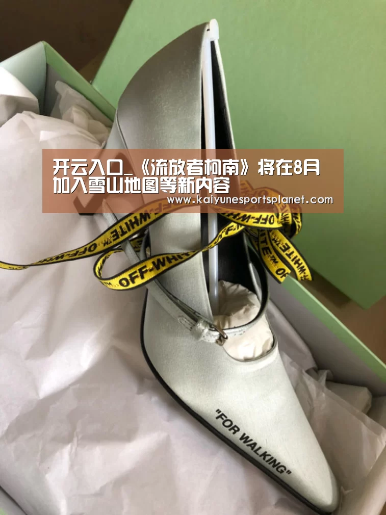 开云入口_《流放者柯南》将在8月加入雪山地图等新内容