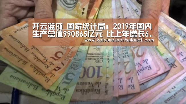 开云篮球_国家统计局:2019年国内生产总值990865亿元 比上年增长6.1%(图2) 开云篮球