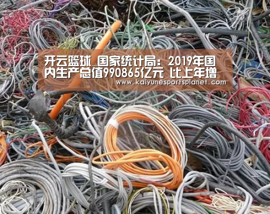 开云篮球_国家统计局:2019年国内生产总值990865亿元 比上年增长6.1%(图4) 开云入口